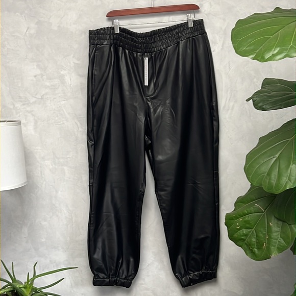 Sanctuary Womens Faux Leather High Rise Jogger Pants, Size 2x - Picture 2 of 9